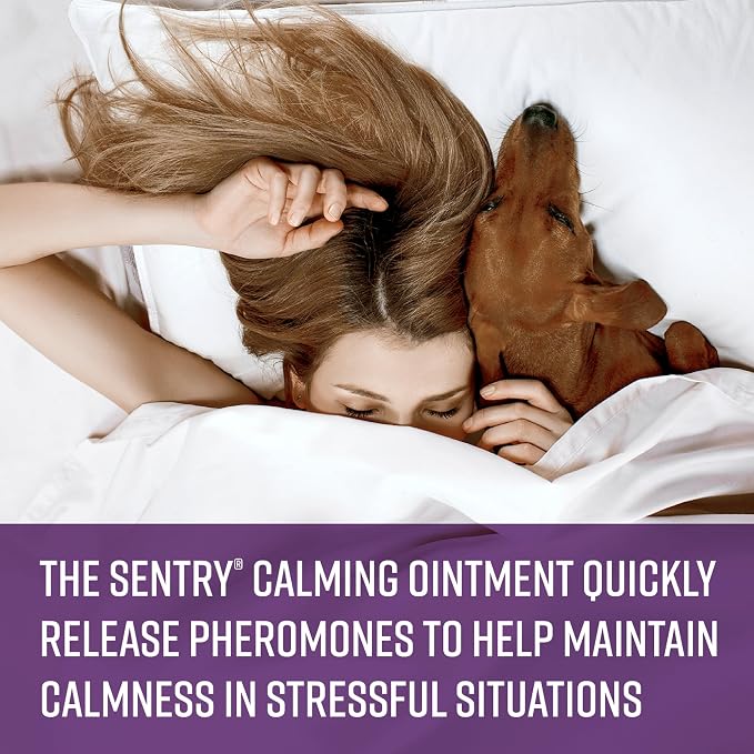 Sentry Behavior Portable Calming Diffuser for Dogs, Reduces Stress and Bad Behavior with Calming Pheromones, Easy-to-use Portable Design, 30 Day Release (Pack of 2)