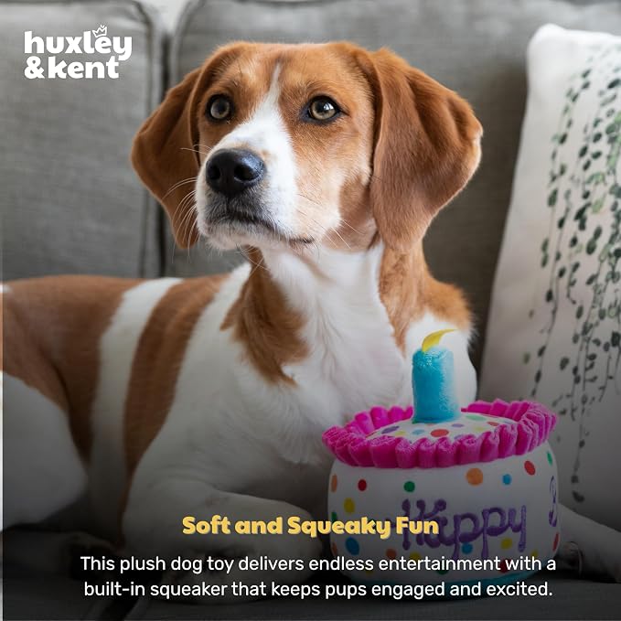 Huxley & Kent Funny Dog Toy w/Squeaker – Power Plush Squeaky Dog Toys for Small, Medium & Large Dogs – Soft Stuffed Animal for Indoor Play & Fetch - Happy Barkday Cake, Small