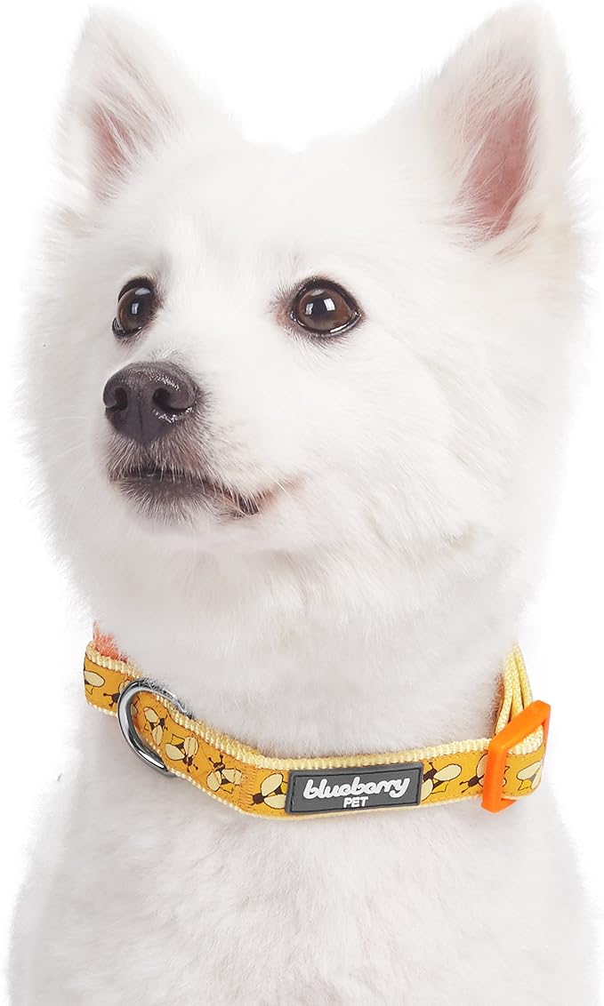 Blueberry Pet Essentials 10 Patterns Statement Busy Bees Designer Adjustable Dog Collar, Small, Neck 12"-16"