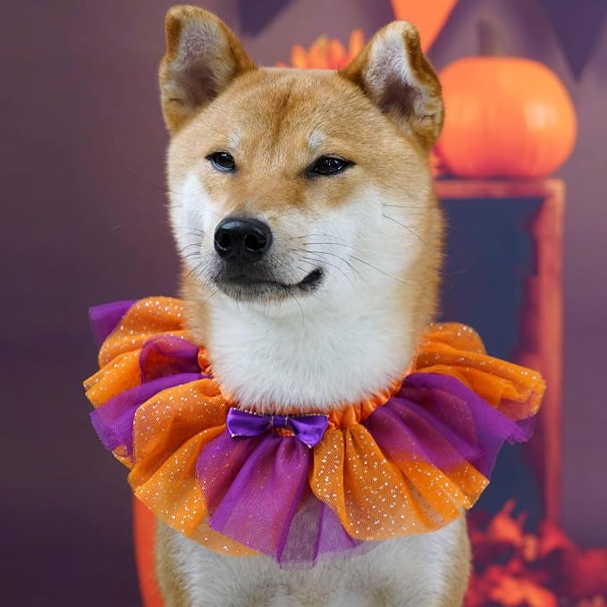 Blueberry Pet Halloween Party Adjustable Breakaway Costume Dog Collar in Warm Tone, X-Small