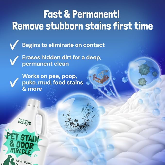 Sunny & Honey Pet Stain and Odor Remover for Carpets. 1 Gallon Mint | USA Made - Enzyme Cleaner for Dog Urine & Poop - Eliminates Set In Stains - Color Safe - For Rugs, Furniture & Car Seats