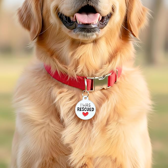 Bad Tags Personalized Dog and Cat ID Tags in 25+ Designs and 2 Sizes - 5 Lines of Custom Engraved Text - Funny Cute Personalized Pet Tags (I was Rescued, Small (1 inch))
