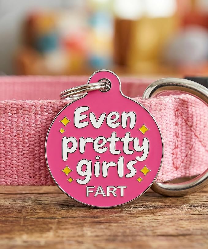 Bad Tags Personalized Dog and Cat ID Tags in 25+ Designs and 2 Sizes - 5 Lines of Custom Engraved Text - Funny Cute Personalized Pet Tags (Even Pretty Girls Fart, Large (1.25 inch))