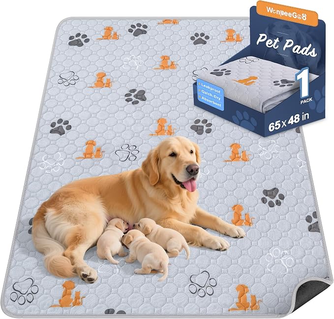 WanpeeGoo Washable Pee Pads for Dogs, Waterproof, 65 x 48 in, 1 Pack, Orng | Super Absorbent, Waterproof and Non-Slip; Washable, Reusable Dog Pads for Crates, Playpens, Floors, Furniture and Travel