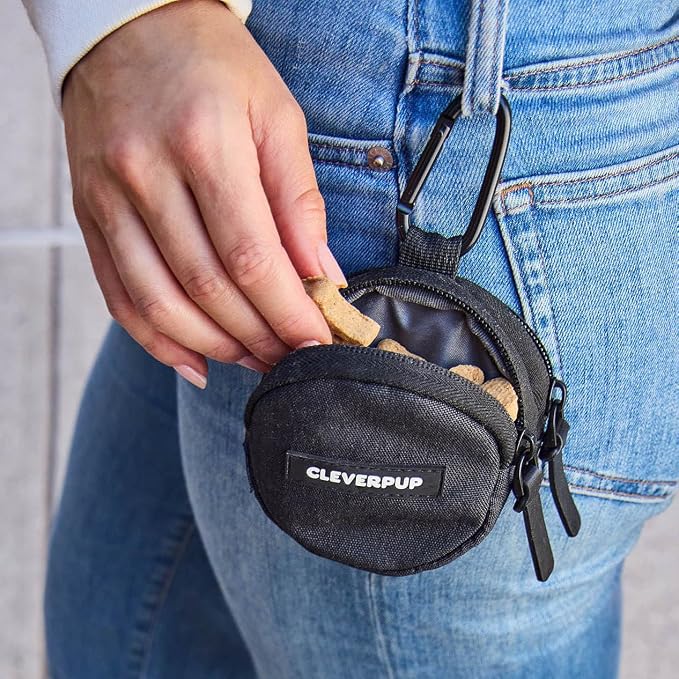Snackpack Double Insulated Dog Treat Pouch – 1.5 Cup Capacity, 2 BPA-Free Waterproof Zipper Pockets, Carabiner for Belt/Leash – Compact Training & Travel Bag – Graphite