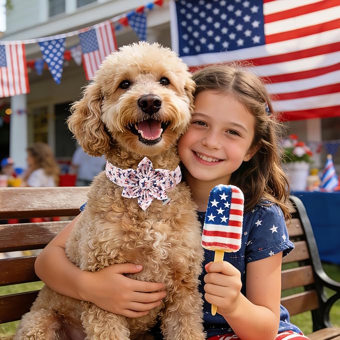 4th of July Independence Day Dog Collars with Flower, Pink Blue American Flag Star Dog Collar, DOGWONG Pink Girl American Flag Dog Collars for Small Dogs,S