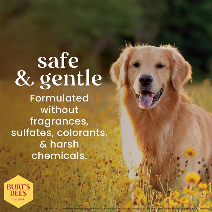 BURT'S BEES FOR PETS Itch Soothing Dog Shampoo, Honeysuckle, 32 Fl Oz | 95 percent natural origin formula, relieves itchy skin, gentle daily cleansing, for all dog breeds