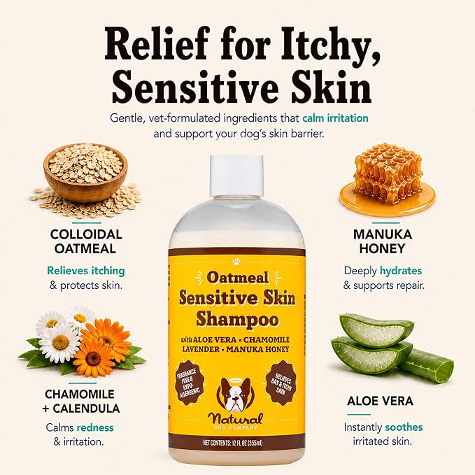 Natural Dog Company Sensitive Skin Dog Shampoo – Hypoallergenic Oatmeal Anti Itch Shampoo for Dogs, Gentle Puppy & Dog Wash with Aloe Vera, Manuka Honey & Chamomile, Odor Control, 12 oz