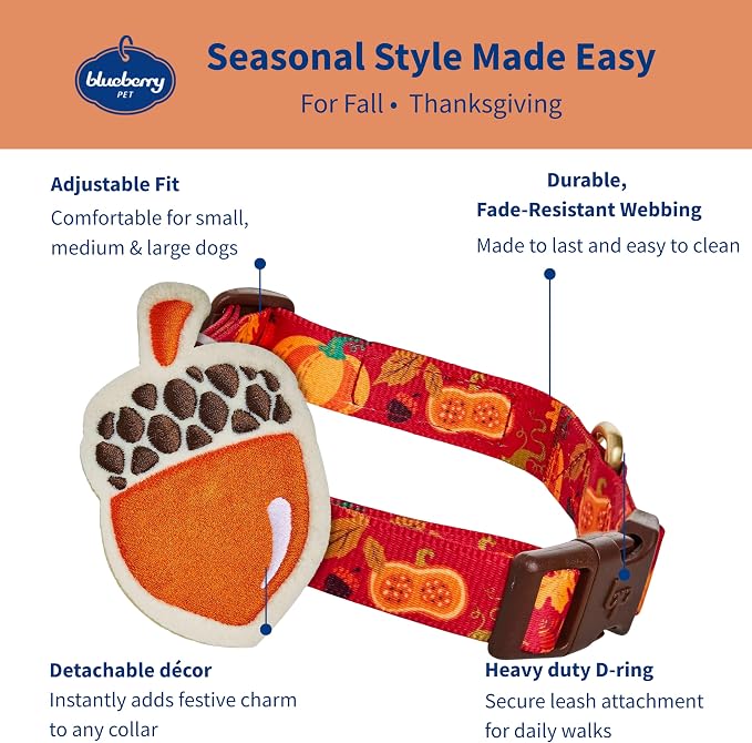 Blueberry Pet Thanksgiving Fall Pumpkin and Acorn Adjustable Dog Collar with Detachable Accessory, Small, Neck 12"-16"
