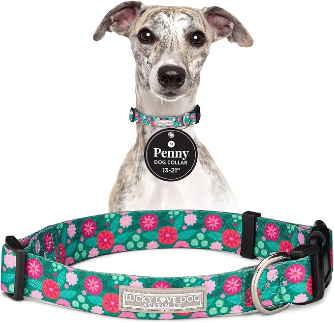 Lucky Love Dog - Adjustable Dog Collar with Easy Click Buckle for Medium Dogs, Durable, & Comfortable for Male & Female Dogs, Pet Collar for Puppies & Adult Ones - Penny, Medium