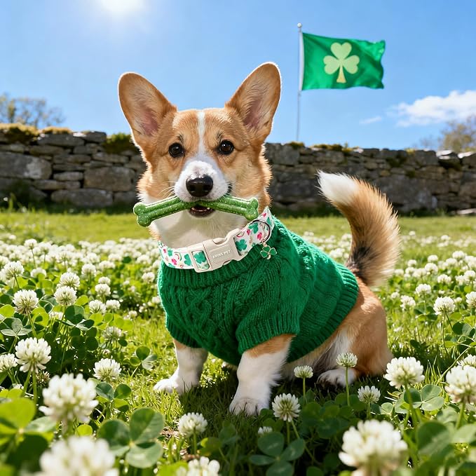 ARING PET St Patrick's Day Dog Collar, Cute White Green Clover Shamrock Rainbow Pink Floral Puppy Pet Collars for Small Medium Large Boy Girl Dogs-M