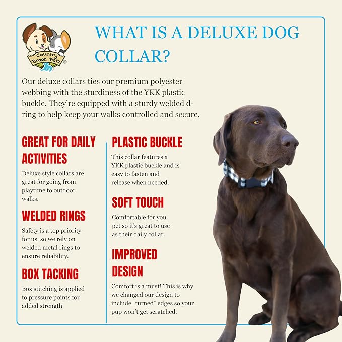 Country Brook Petz - Autumn Wind Everyday Dog Collar - Made in the U.S.A. - Awesome Autumn Collection Featuring Design You Will Fall for (1/2 Inch, Extra Small)