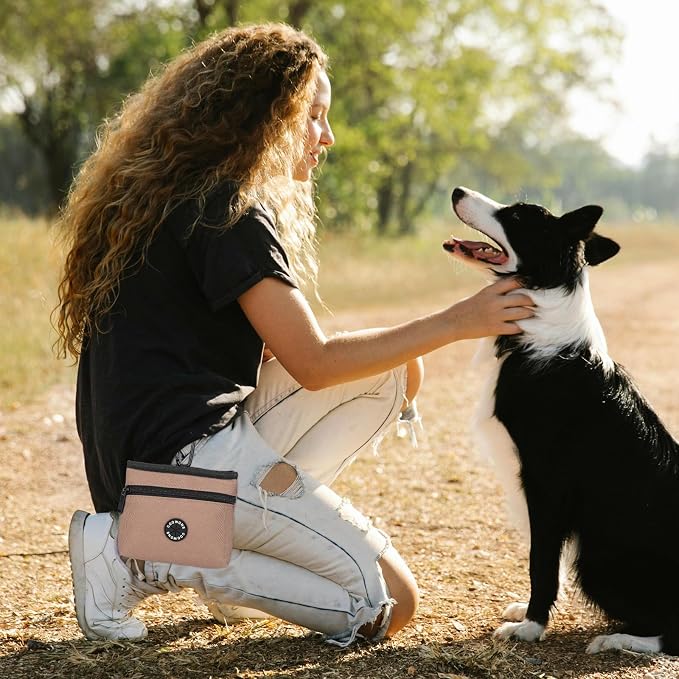 Dog Treat Pouch with Pet Training Clicker, Detachable Dog Puppy Training Treat Bag, 900D Oxford Cloth Magnetic Closure Small Dog Walking Bag for Travel or Outdoor Use (Coffee)
