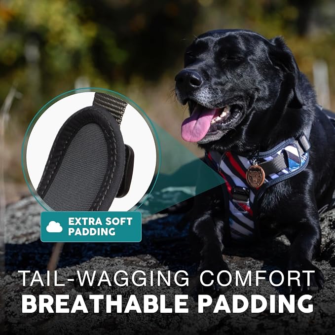 Embark Adventure Dog Harness for Small, Medium & Large Dogs – No Pull, Reflective Trim, Heavy Duty Oxford, 2 Leash Clips, Gel-Lined Handle, Soft Padded