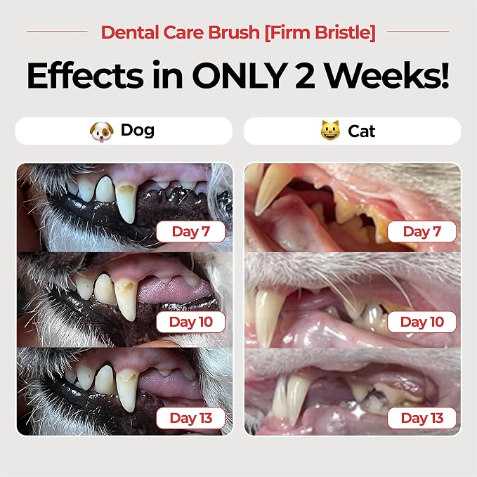 JAYU PET Dental Care Brush, Firm Bristles, 1ea | Resilient Dog Toothbrush, Cat Toothbrush, Tartar & Plaque Removal, Horizontal Head, S-Curved Body