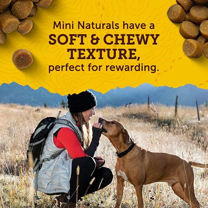 Zuke's Mini Naturals Dog Training Treats, Beef Recipe, 6 oz Pouch | Natural dog treats with real beef, only 2 calories each, soft and chewy bites, in a resealable pouch, made in the USA