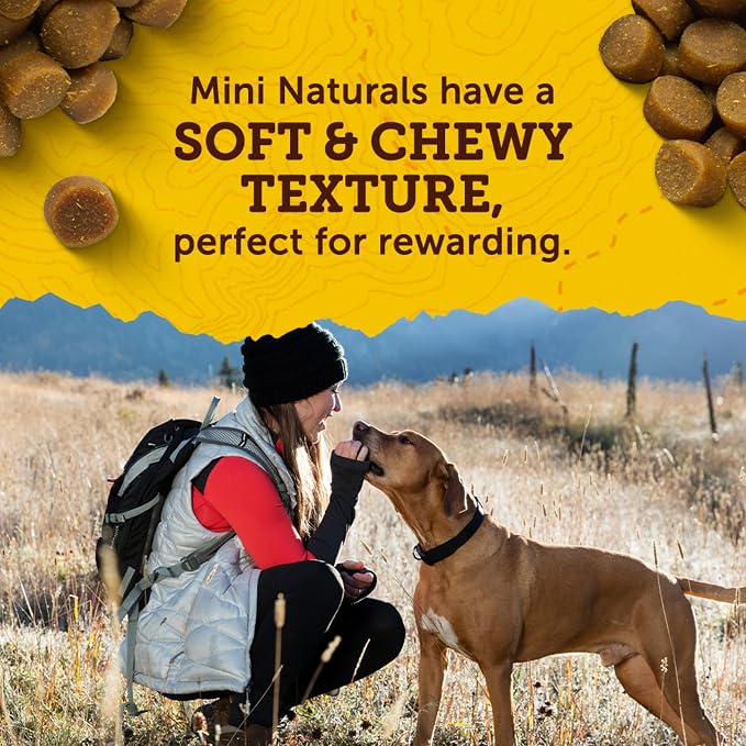 Zuke's Mini Naturals Dog Training Treats, Beef Recipe, 10 oz Pouch | Natural dog treats with real beef, only 2 calories each, soft and chewy bites, in a resealable pouch, made in the USA