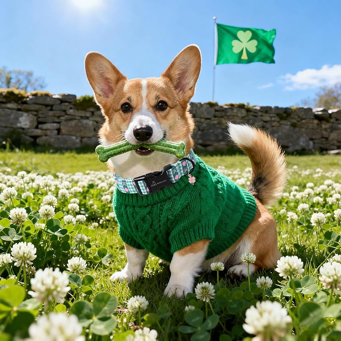 ARING PET St Patrick's Day Dog Collar, Cute Green Clover Shamrock Grid Puppy Pet Collars for Small Medium Large Boy Girl Dogs-S