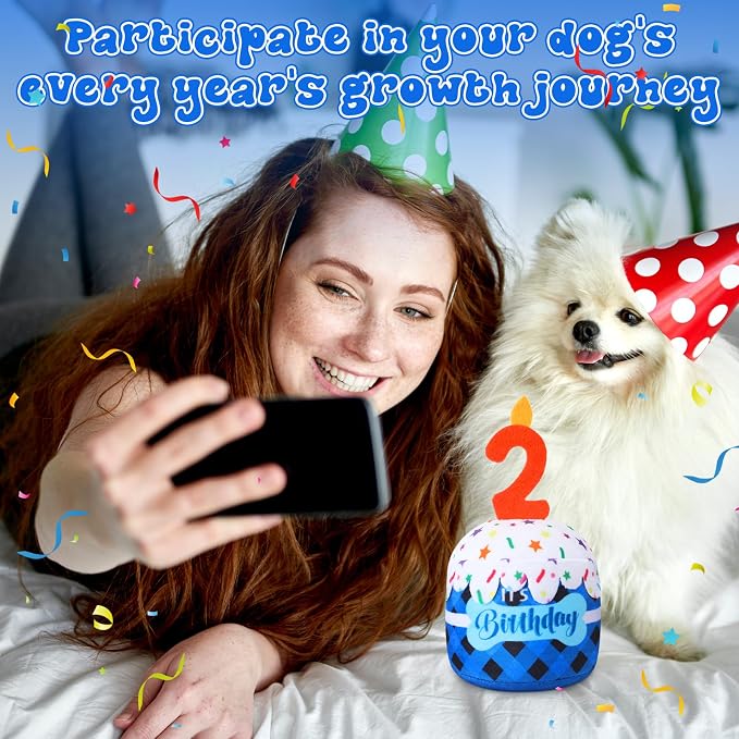 Dansydaisy Dog Birthday Cake Toy Squeaky Plush Toy for Girl Boy Gifts, Chew Accessories for Dog Birthday Party Decor Favor for Large, Medium and Small Dogs(2nd,Blue Grid)