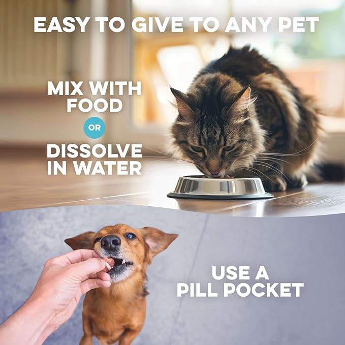 BestLife4Pets Itch Relief and Ear Infection for Dogs & Cats - 400 Pills | Natural Ear Mites Treatment for Cats and Dogs Soothes Itchy Ears, Reduces Swelling, Otitis, Pain & Inflammation