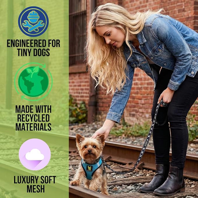 EcoBark Step in Dog Harness - Reflective Soft Luxurious Mesh Dog Harnesses for XXS, XS, Small, and Medium Dogs - Eco-Friendly Comfort Secure Halter No Pull Adjustable Pet Vest (Aqua Sport, XXXS)