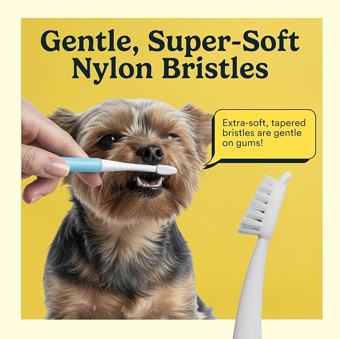 Jasper Microbrush Vet Approved Cat Toothbrush, Soft-Bristled Toothbrush Kit for Felines & Small Dogs, Non-Slip Handle with 2 Replaceable Tooth Brush Heads, Use with Cat Toothpaste, 2-Pack, Rose Pink