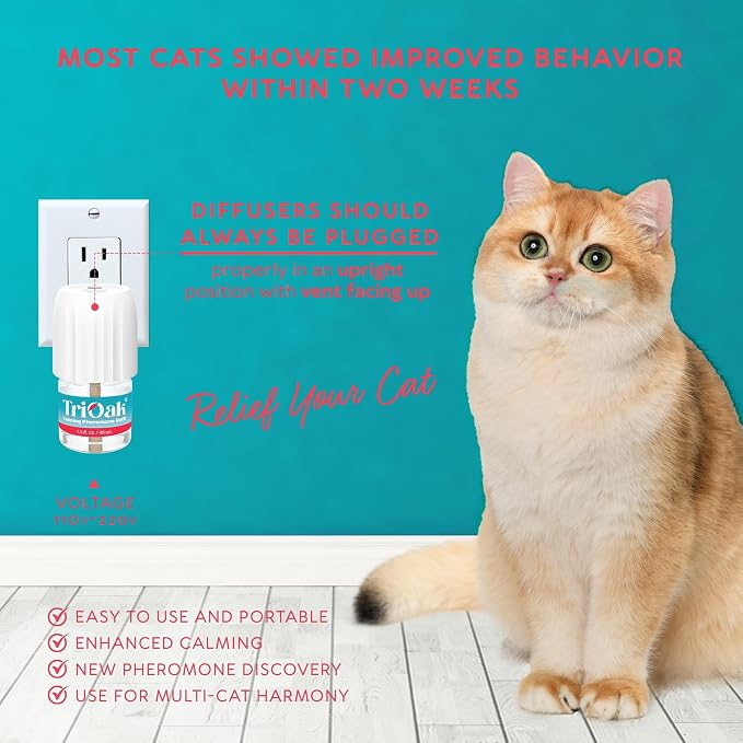Cat Calming Diffuser Refills: Premium Cat Pheromones Calming Diffuser Refills - 6-Month Supply - Soothing & Relaxing Support for Cats
