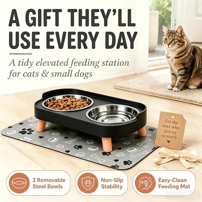 Elevated Dog Bowls with Mat, 2 Stainless Steel for Small Dogs Under 25 Lb | Raised Bowl Stand, Food & Water Set for Cats & Puppies, Splash Proof, Dishwasher Safe, Stain-Resistant Quick-Dry Mat