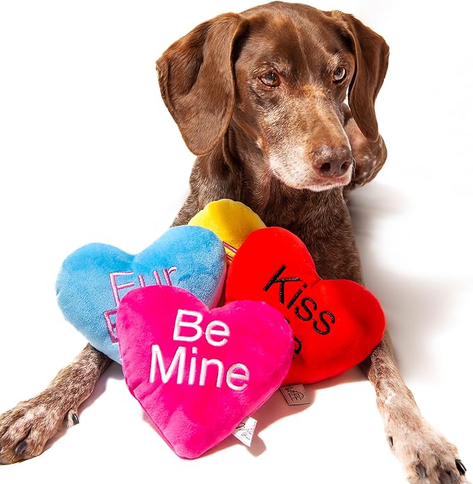 Midlee Candy Heart Valentine's Dog Toy- Set of 4 (Small)