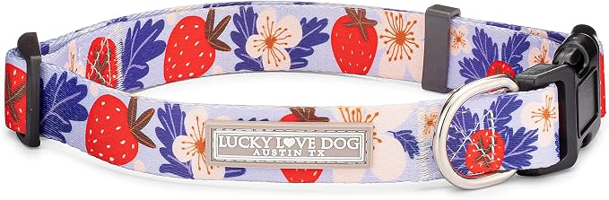 Lucky Love Dog - Adjustable Dog Collar with Easy Click Buckle for Small Ones, Durable, & Comfortable for Male & Female Dogs, Pet Collar for Puppies & Adult Dogs - Sweet Berry, Extra Small