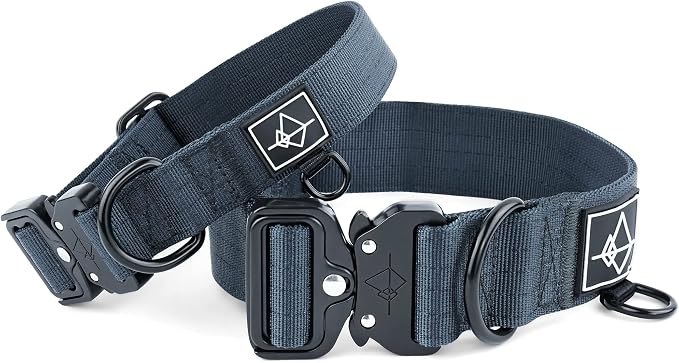 Made to ROAM Premium Dog Collar - Adjustable Heavy Duty Nylon Collar with Quick-Release Metal Buckle (Colorado Nightsky, Classic Size 1)