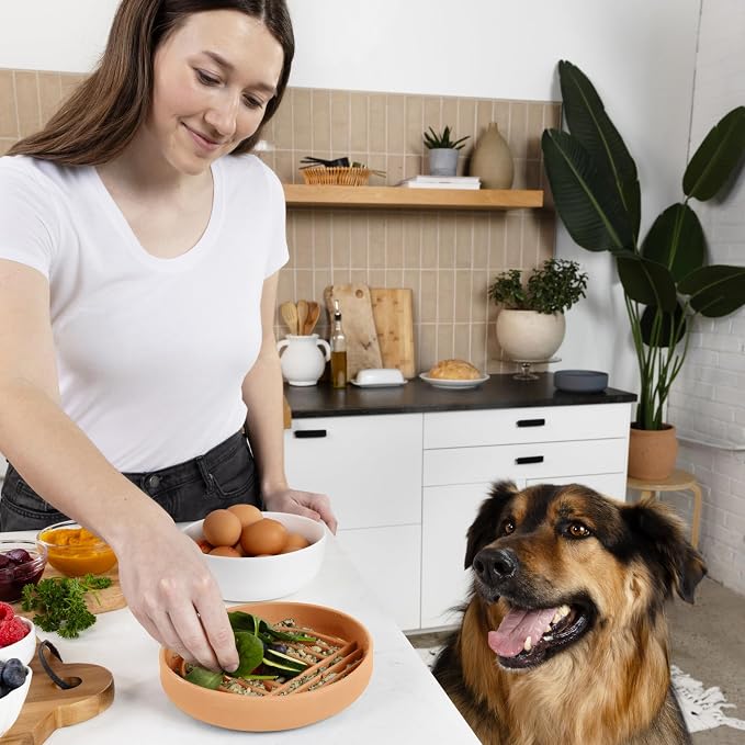 Should We Go? Slow Feeder Dog Bowls - Medium Size Silicone Slow Eating Dog Bowl for Puppies & Dogs with Suction Cup -Dishwasher-Safe,Lick Mat Design,Reduces Gulping,for All Breeds,6”x1.25”-Terracotta