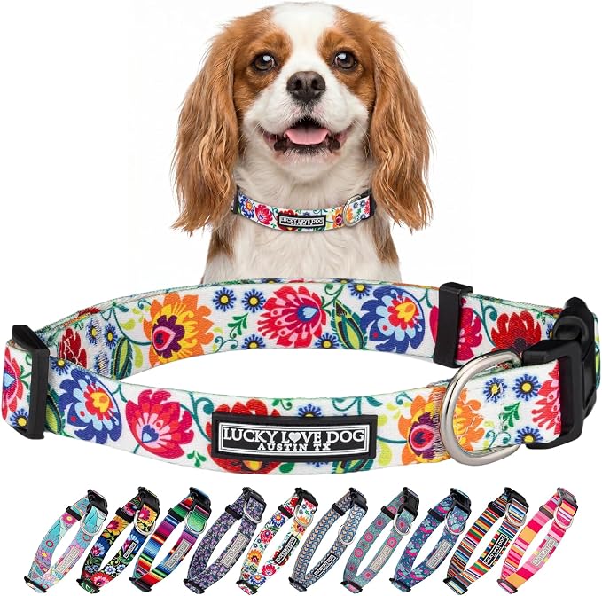 Lucky Love Dog - Adjustable Dog Collar with Easy Click Buckle for Small Dogs, Durable, & Comfortable for Male & Female Dogs, Pet Collar for Puppies & Adult Dogs - Ladybird, Small