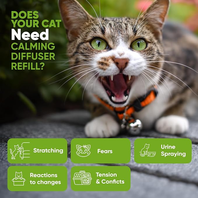 STUNICK CC1 Cat Calming Diffuser, Calming Pheromones, 60 Day Supply, 1 Diffuser and 2 Refills for Stress, Pee Spraying, Cat Fighting, Aggression, Excessive Meowing & Scratching | Odorless