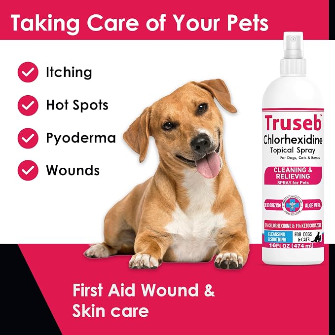 Truseb Medicated Topical Ketoconazole and Chlorhexidine Spray for Dogs, Cats, and Horses with Essential Fatty Acids, Ketoconazole Spray Aloe and Vitamin E (Ketoconazole & Chlorhexidine Spray, 16 oz)