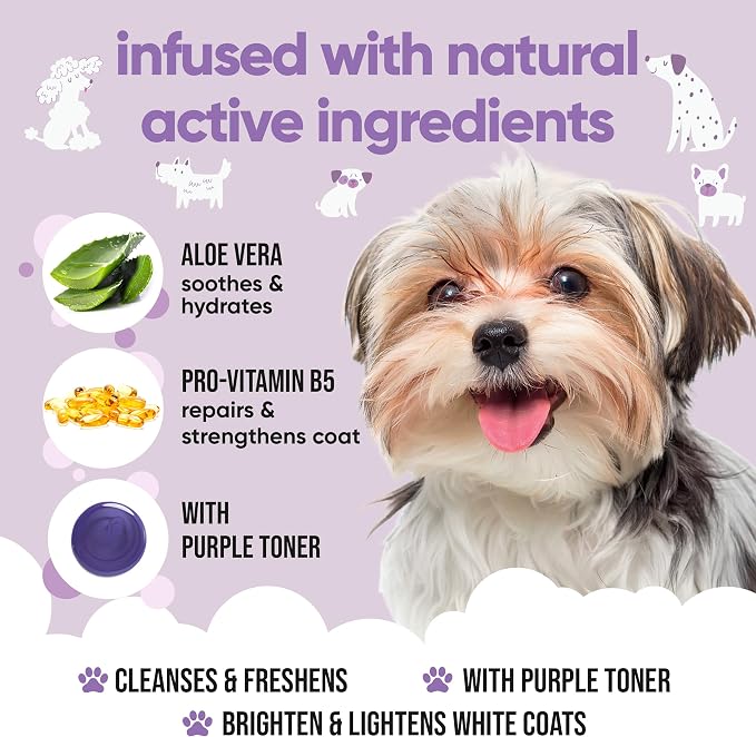 White Dog Shampoo by Buddycare | Dry Skin & Itchy Skin Relief for Smelly Dogs | Deep Cleansing Shampoo for Dogs Puppy Sensitive Skin | Dog Shampoo & Conditioner | with Aloe & Vitamin B5 (16.90oz)