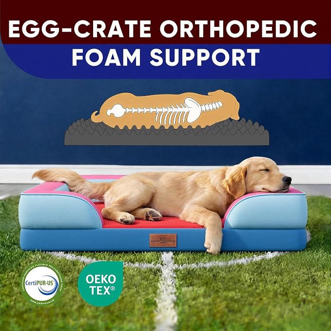 Comfort Expression Orthopedic Dog Beds for Large Sized Dog with Bolster | Waterproof Dog Couch Bed with Washable Cover & Non-Slip Bottom, Supportive Egg Crate Foam Large Pet Bed, 36x27 Inch