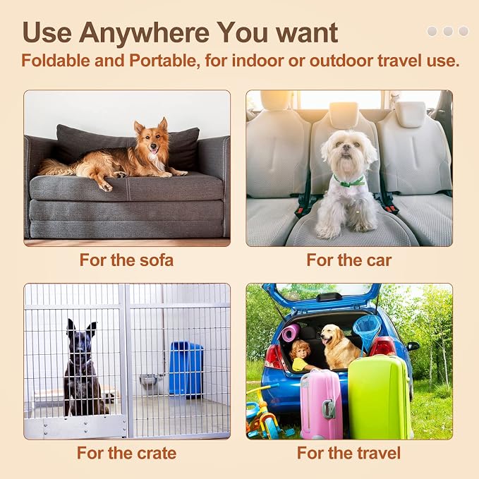 BEAUTYZOO Dog Crate Pad Washable Ultra Soft Pet Kennel Mat Small, 24" Gray | Ultra Soft Crate Pad,Anti-Slip Bottom,Waterproof Lining Protects Floors & Furniture,Comfortable Cozy Mats for Cage Car Travel