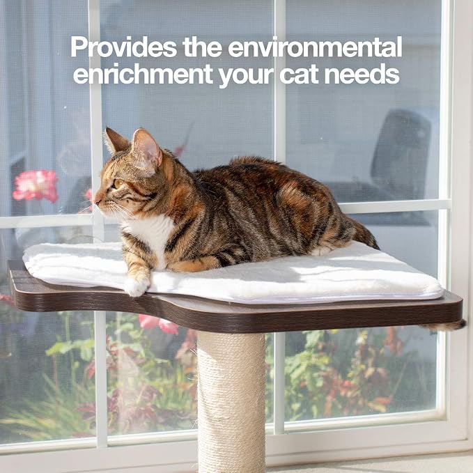 PetFusion Ultimate Cat Window Climbing Perch 45” Tall (Tree Sisal Scratching Posts, Modern Design Simply Suctions to Window. (EASY TO ASSEMBLE) | Tree Sisal Scratching Posts, Modern Design Simply Suctions to Window, Easy to Assemble