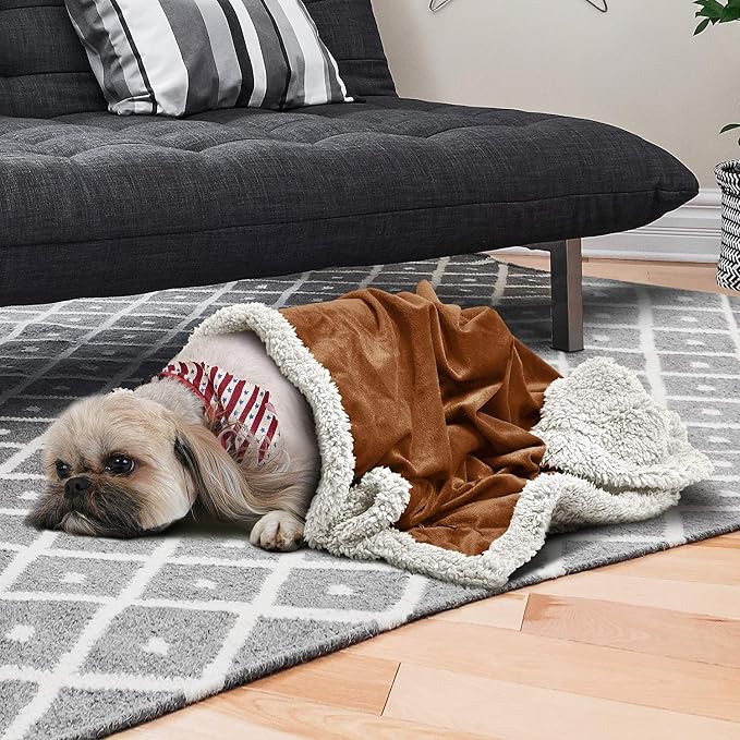 Kritter Planet Dog Blankets for Small Dogs, Soft Puppy Blanket, Pet Blankets for Cats, Lightweight & Washable, Perfect for Dog Beds, Car Seats, Creat, 30x40 inches