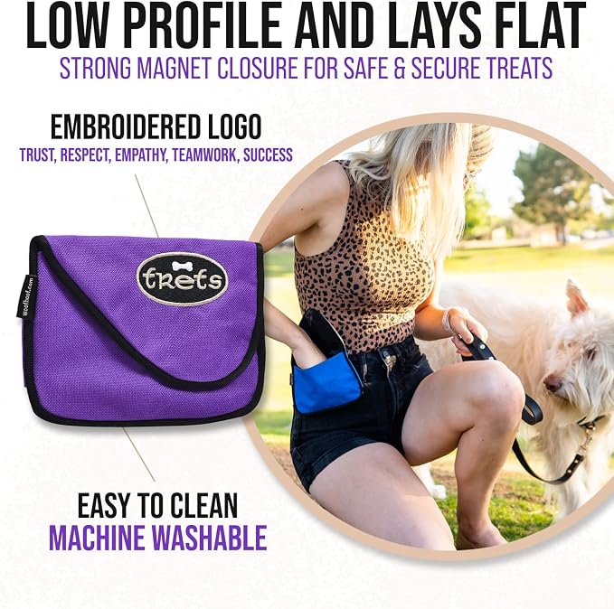 Dog Treat Pouch, Purple Training Treat Pouch - Clip On Dog Treat Holder, Innovative No Spill Design, Magnetic Flap, Expandable Gusset, Made of Durable Nylon, Machine Washable