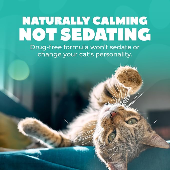 Rechargeable Cat Calming Pheromone Diffuser Kit, 60 Day Supply, No Burning Smell, Helps Reduce Stress, Scratching & Spraying