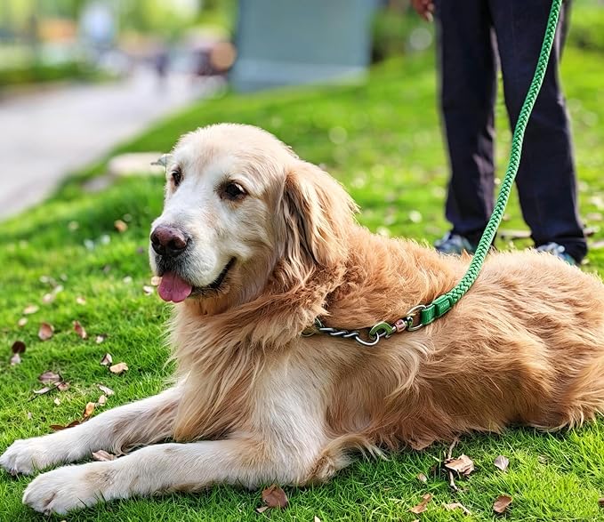 2/3/4/6/10 Foot Reflective Dog Leash Strong Nylon Rope Braided Heavy Duty for Large and Medium Small Dogs Walking Training Leads (Green, 6ft * 3/4")