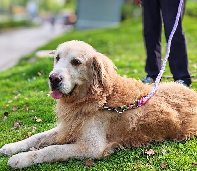6ft Reflective Large Dog Leash, 3/4" Strong Nylon Thick Rope Braided Heavy Duty for Large Medium Dogs Walking Training Leads (Pink)