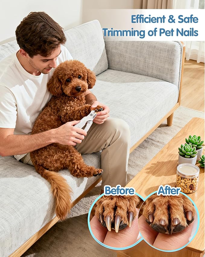2 in 1 Cat Dog Nail Clippers & Grinder with LED Light, Quiet Rechargeable | Electric Pet Nail Trimmer & Claw Clippers for Large Medium Small Dogs Cats, Splash Guard for Nails, Painless Grooming Kit