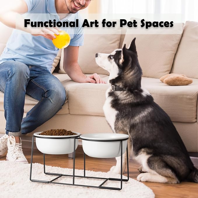 Ceramic Elevated Dog Bowl Set - Raised Double Feeding Bowls with Metal Stand - Pet Dishes for Medium and Large Dogs - 5.8 Cups - 47.3 fl oz - Matte White