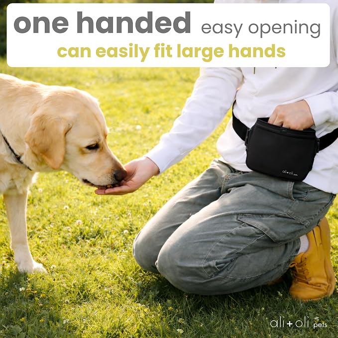 Ali+Oli Pets Dog Treat Pouch for Training, Silicone, 2 Cup Capacity | Magnetic closure, One-hand access, Adjustable waist fit XS-XXL, Water resistant, Walking, Easy cleaning, Leash clip