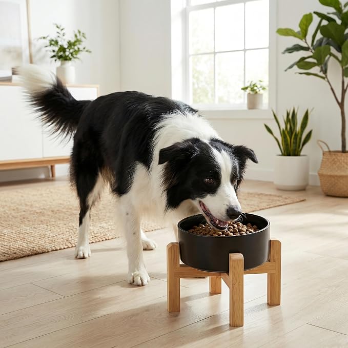 hjn Elevated Ceramic Dog Bowl 15°Slanted Raised Dog Bowl with Bamboo Stand for Small Medium Dogs and Cats, Pet Feeder -7.6-Cup (1800ml)-Black