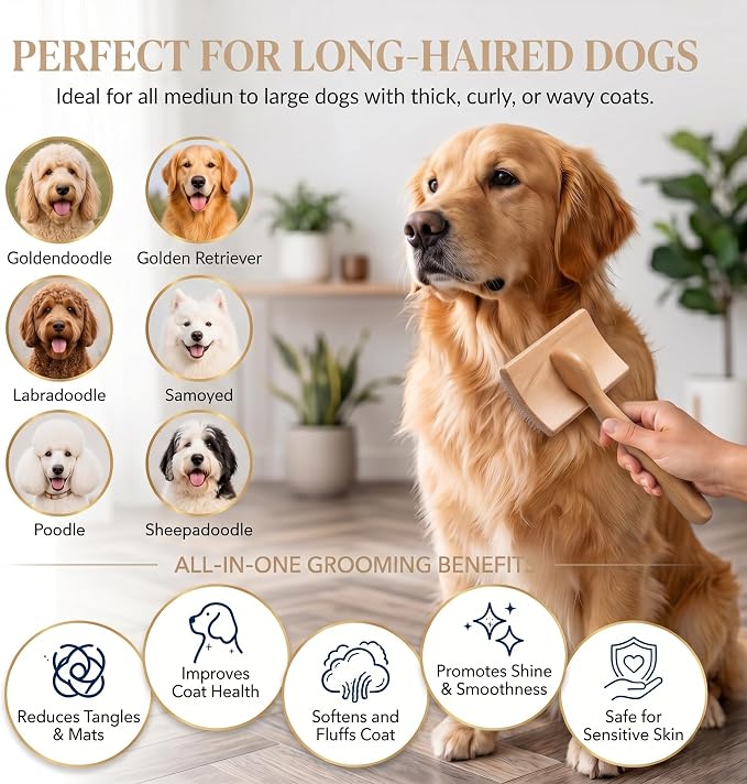 Wooden Long Pin Slicker Brush for Large Dog, Poodles & Doodles Long Hair | Grooming, Fluff & Detangle Heavy Dense Wavy Curly Coats to Easily Prevent Severe Hair Matting During Shedding Seasons