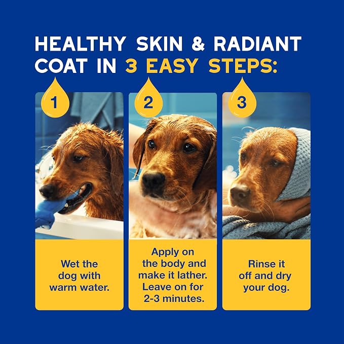 DOUXO SPA Oatmeal Dog Shampoo, 16 fl oz | Moisturizes the Skin, Leaves the Coat Soft and Radiant, Ultra-Safe